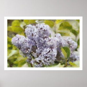 Póster Lilac roxo