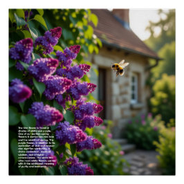 Póster Lilac Symbolism