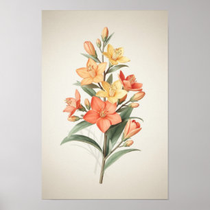 Poster Lilases Botânicas Coral e Creme
