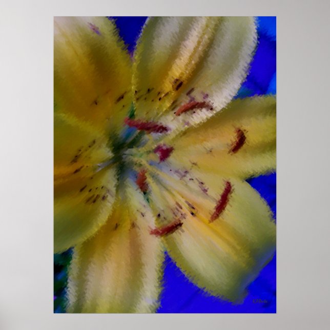 Poster Lilly Lillies Flowers Fotografia Flor (Frente)