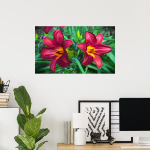 Poster Lily,