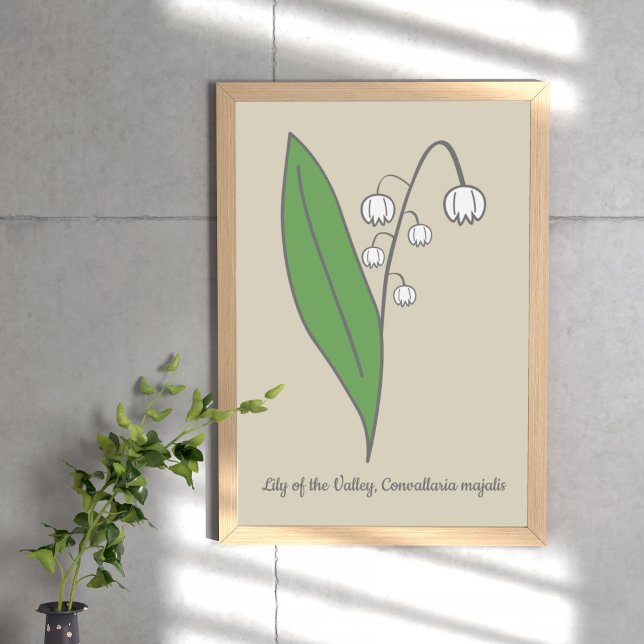 Poster Lily Botânica da Flor Pastel do Vale (Botanical Lily of the Valley Poster)