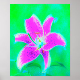 Poster Lily, com Stargazer Rosa Quente, em Turquesa e Ver