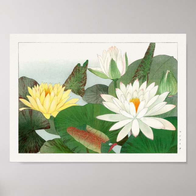 Poster Lily de água de Tanigami Konan (Frente)