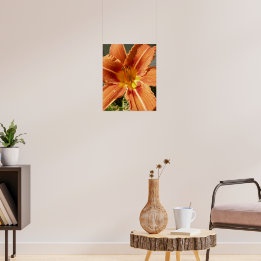 Póster Lily do dia