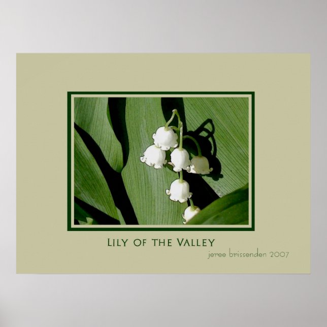 Póster Lily do Vale (Frente)