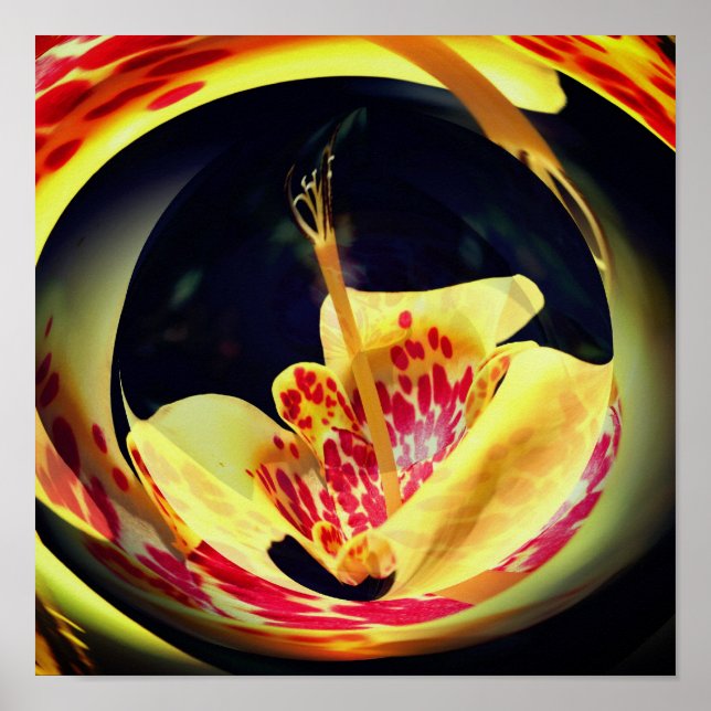 Poster Lily Floral Abstrato Art (Frente)