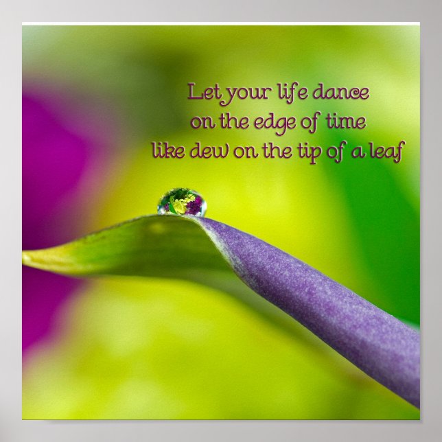 Póster Lily Leaf (Frente)