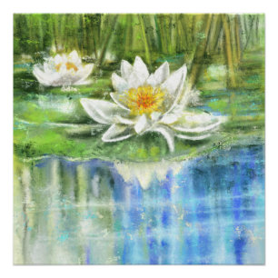 Póster Lily Nymphaea alba, de água branca - Pintura origi