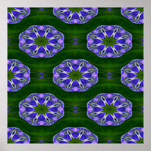Poster Lily pad stars....