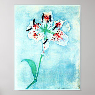 Poster Lily, pintura de Piet Mondrian