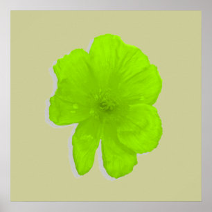 Poster Limão/Flor PopArt