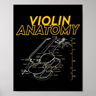 Poster Limite do diagrama de desenho da anatomia do violi