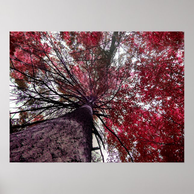 Póster Limite superior (Frente)