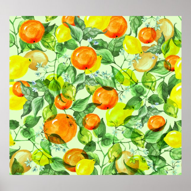 Poster Limões de aquarelas, flores, padrão dos citros. (Frente)