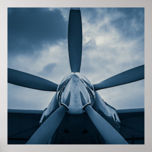 Poster Limpe o Prop!