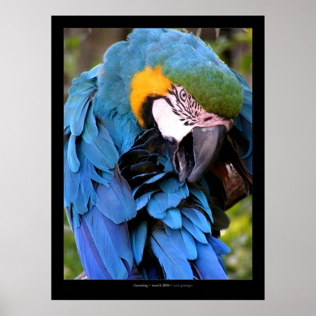 Póster Limpeza (Frente)