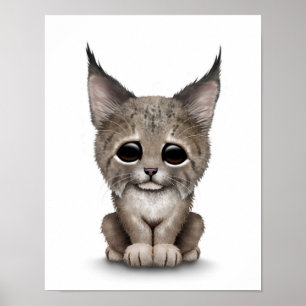 Poster Lince bonito Cub do bebê no branco
