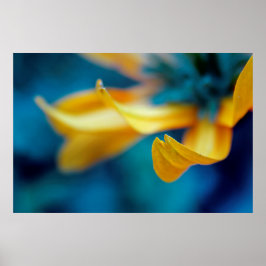 Poster Linda Abstrato Amarelo-Amarelo-Coneflower-Petal