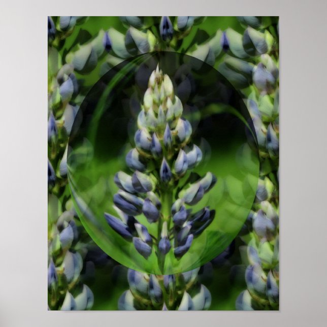 Poster Linda Abstrato Floral de Lupine (Frente)