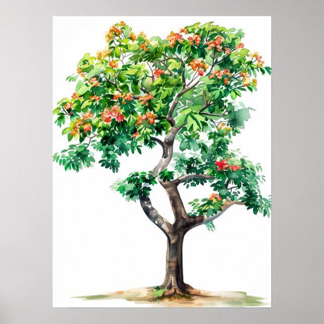 Poster Linda Bombax Ceiba Tree Watercolor (Frente)