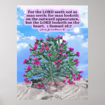 Linda Escritura de Cholla Cactus 1 Samuel 16:7