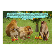 Linda Escritura de Macacos 2 Corinthians 6:14