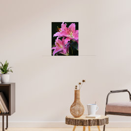 Poster Linda Flor de Lírio Rosa