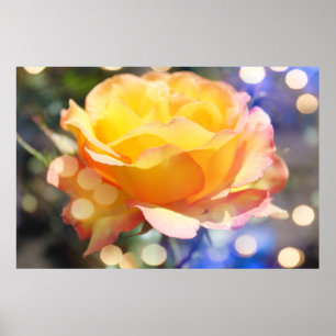 Póster Linda flor de rosa amarela. Fotografia floral