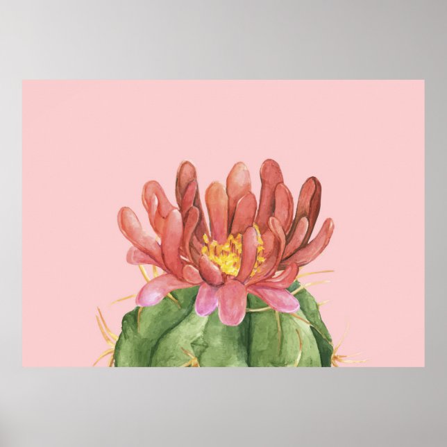 Poster Linda Flor Suculenta (Frente)