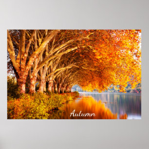 Poster Linda Floresta de outono