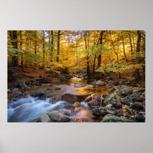 Poster Linda Floresta de outono