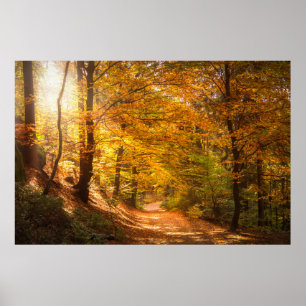 Poster Linda Floresta de outono
