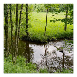 Póster Linda floresta e rio belga, viagem