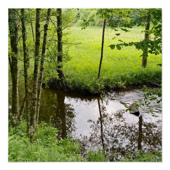 Póster Linda floresta e rio belga, viagem (Frente)