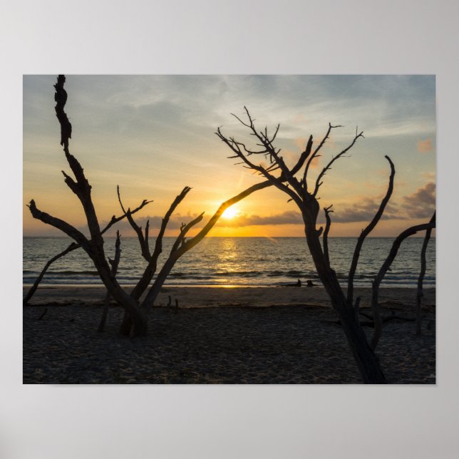 Póster Linda Folly Morning (Frente)