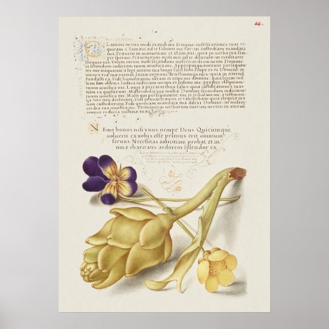 Poster Linda Ilustração Botânica Vintage (Frente)