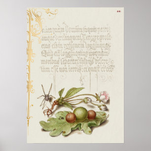 Poster Linda Ilustração Botânica Vintage
