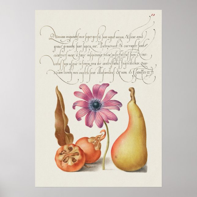 Poster Linda Ilustração Botânica Vintage (Frente)