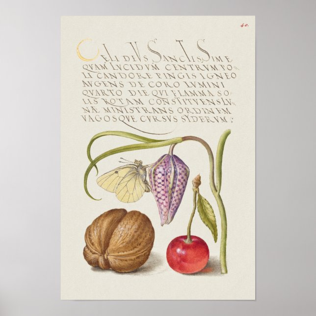 Poster Linda Ilustração Botânica Vintage (Frente)