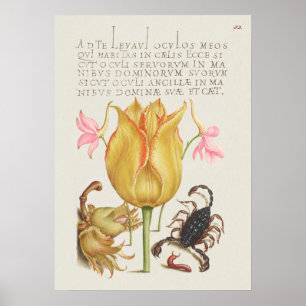 Poster Linda Ilustração Botânica Vintage