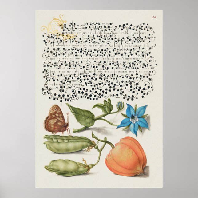 Poster Linda Ilustração Botânica Vintage (Frente)