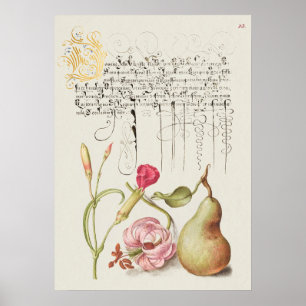 Poster Linda Ilustração Botânica Vintage