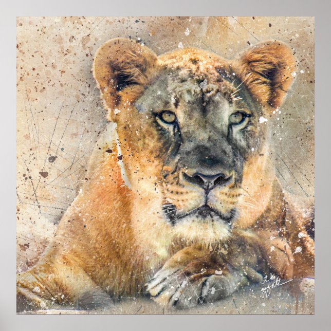 Póster Linda Lioness Fotografia Moderna de Watercolor (Frente)