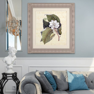 Poster Linda Magnolia Flores Colagem Antiquada