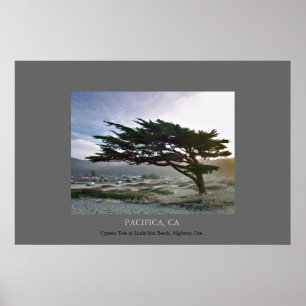 Poster Linda março Cypress