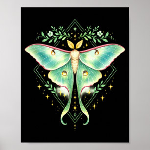 Poster Linda mariposa luna bela borboleta inseto amante