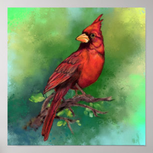 Poster Linda pintura de pássaro vermelho Norte