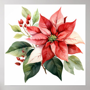 Poster Linda Poinsettia de Natal Vermelho