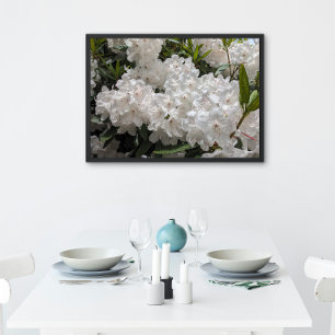 Póster Linda Rhododendron Blooms Floral